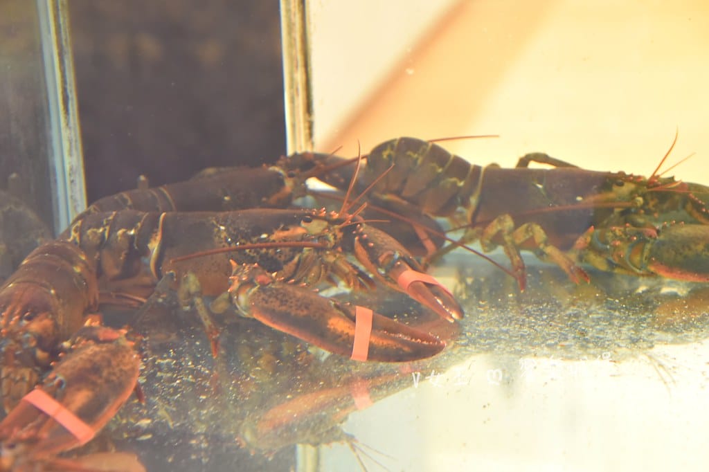 明水然。樂 宜蘭礁溪店宜蘭美食必探高CP值無菜單鐵板燒,人