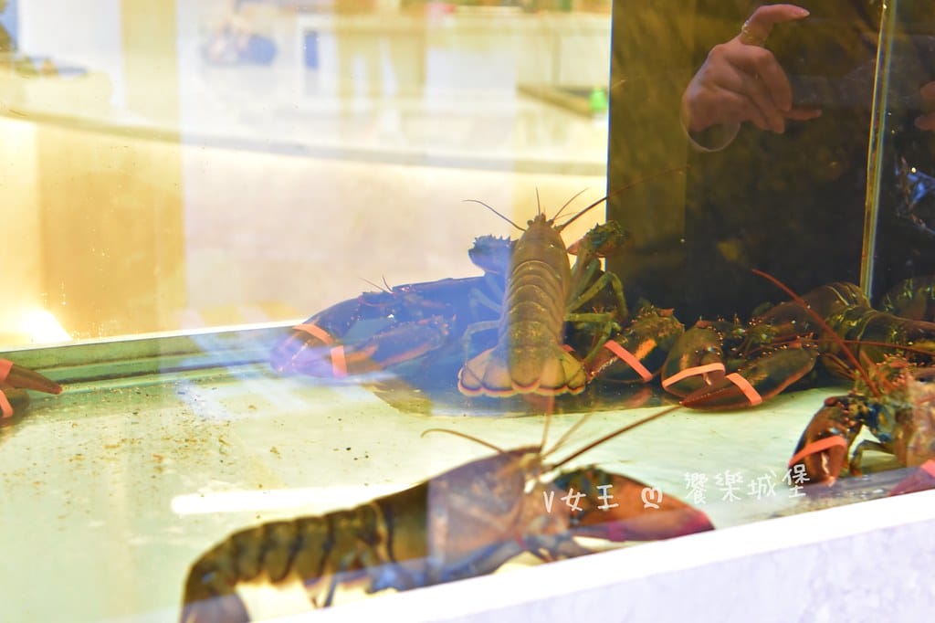 明水然。樂 宜蘭礁溪店宜蘭美食必探高CP值無菜單鐵板燒,人