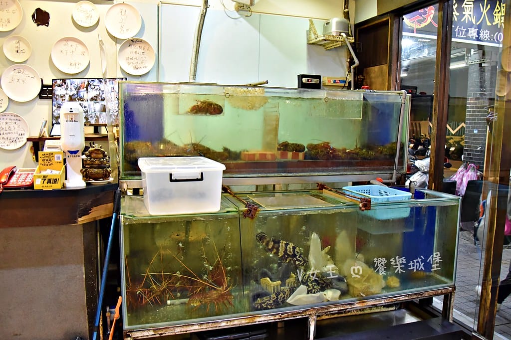 蒸天下海鮮蒸氣火鍋 ll 板橋火鍋推薦,專人桌邊服務,活體海