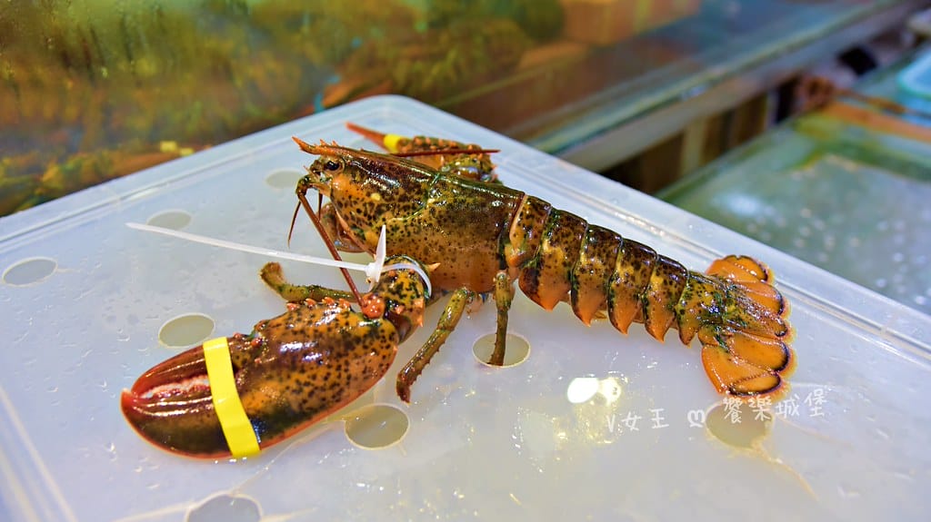 蒸天下海鮮蒸氣火鍋 ll 板橋火鍋推薦,專人桌邊服務,活體海