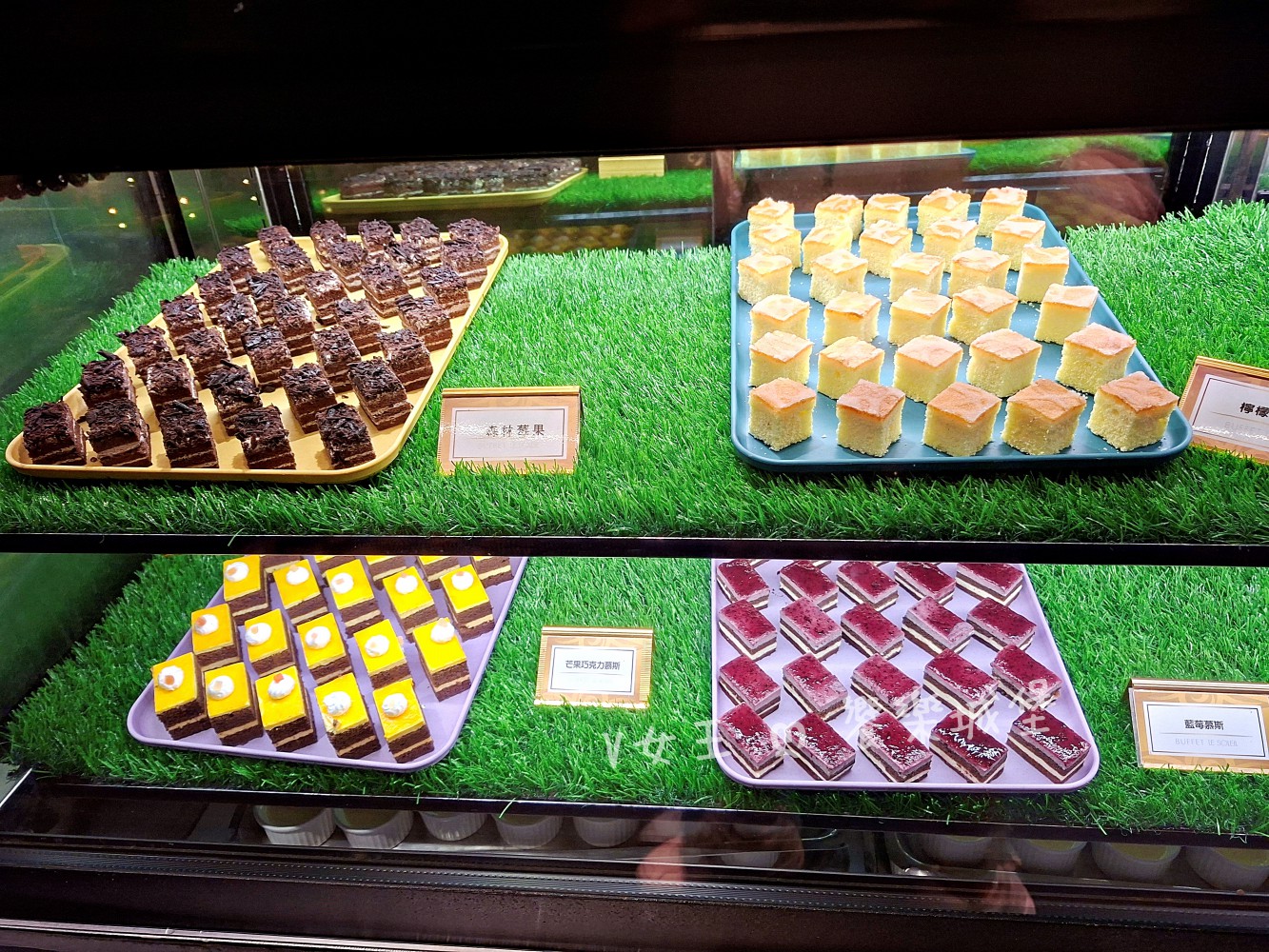 台中 潮港城太陽百匯 ll 魚市場海鮮直送讓你吃到最新鮮海鮮，多款海鮮料理任君挑選，台中吃到飽自助Buffet推薦