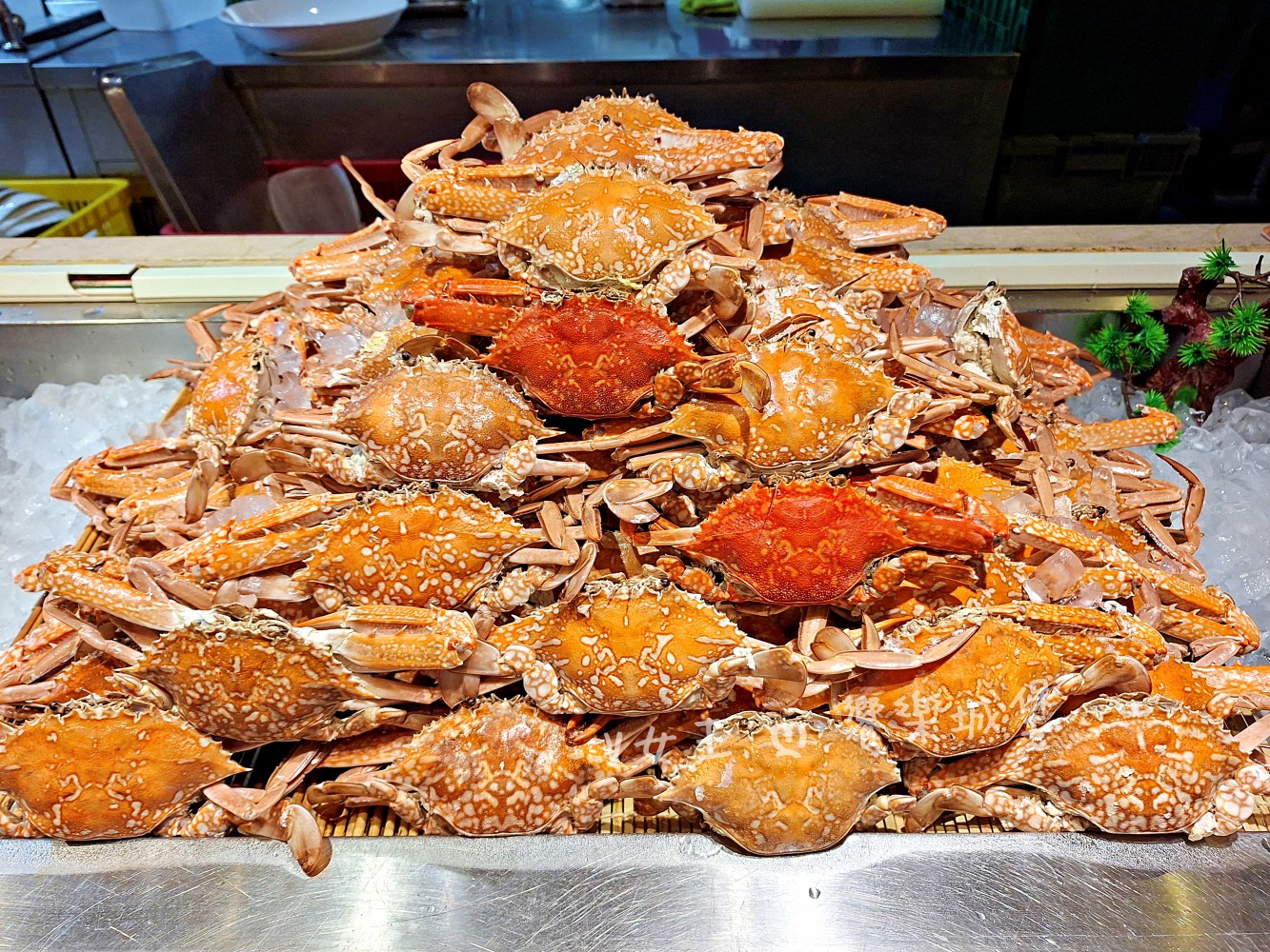 台中 潮港城太陽百匯 ll 魚市場海鮮直送讓你吃到最新鮮海鮮，多款海鮮料理任君挑選，台中吃到飽自助Buffet推薦