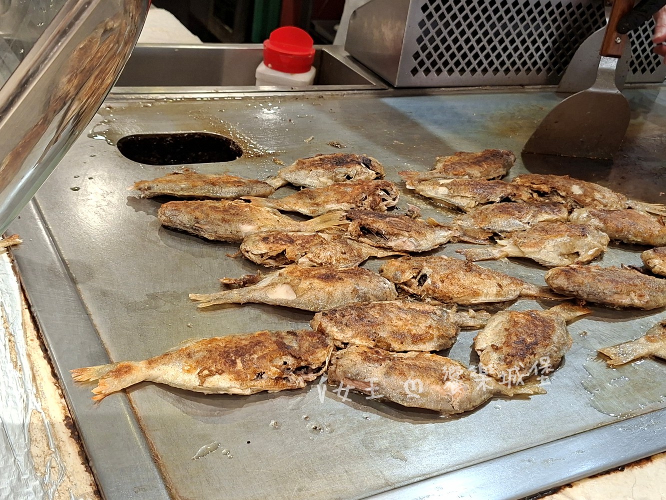 台中 潮港城太陽百匯 ll 魚市場海鮮直送讓你吃到最新鮮海鮮，多款海鮮料理任君挑選，台中吃到飽自助Buffet推薦