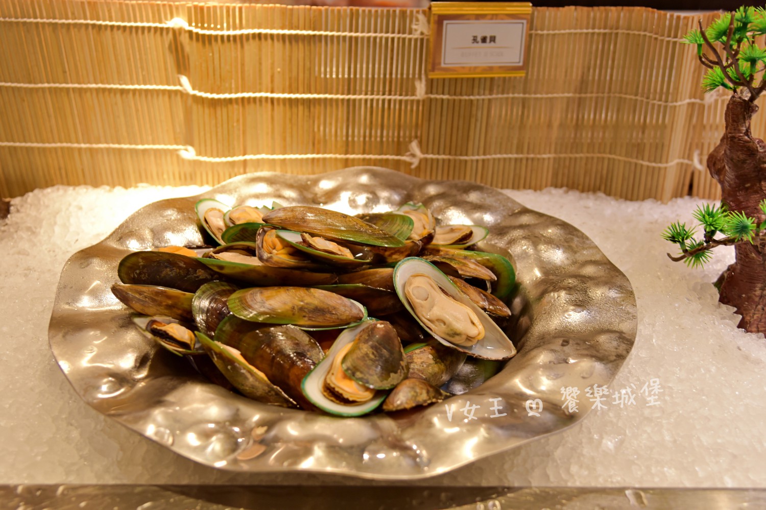 台中 潮港城太陽百匯 ll 魚市場海鮮直送讓你吃到最新鮮海鮮，多款海鮮料理任君挑選，台中吃到飽自助Buffet推薦